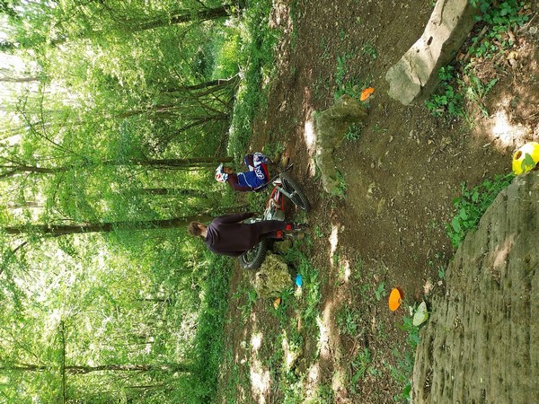 215-photo-21