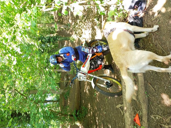 215-photo-27
